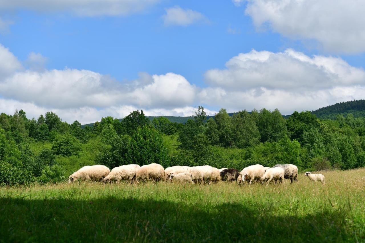 Natura hause Rakovica Exterior foto