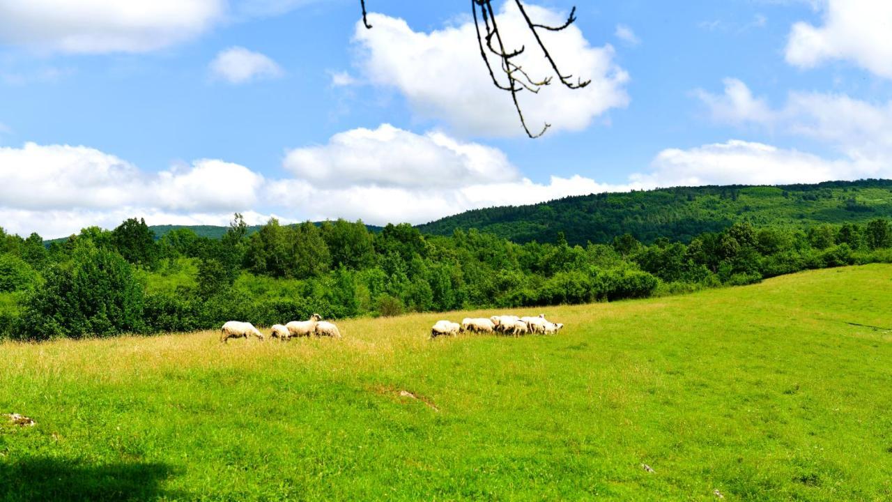 Natura hause Rakovica Exterior foto