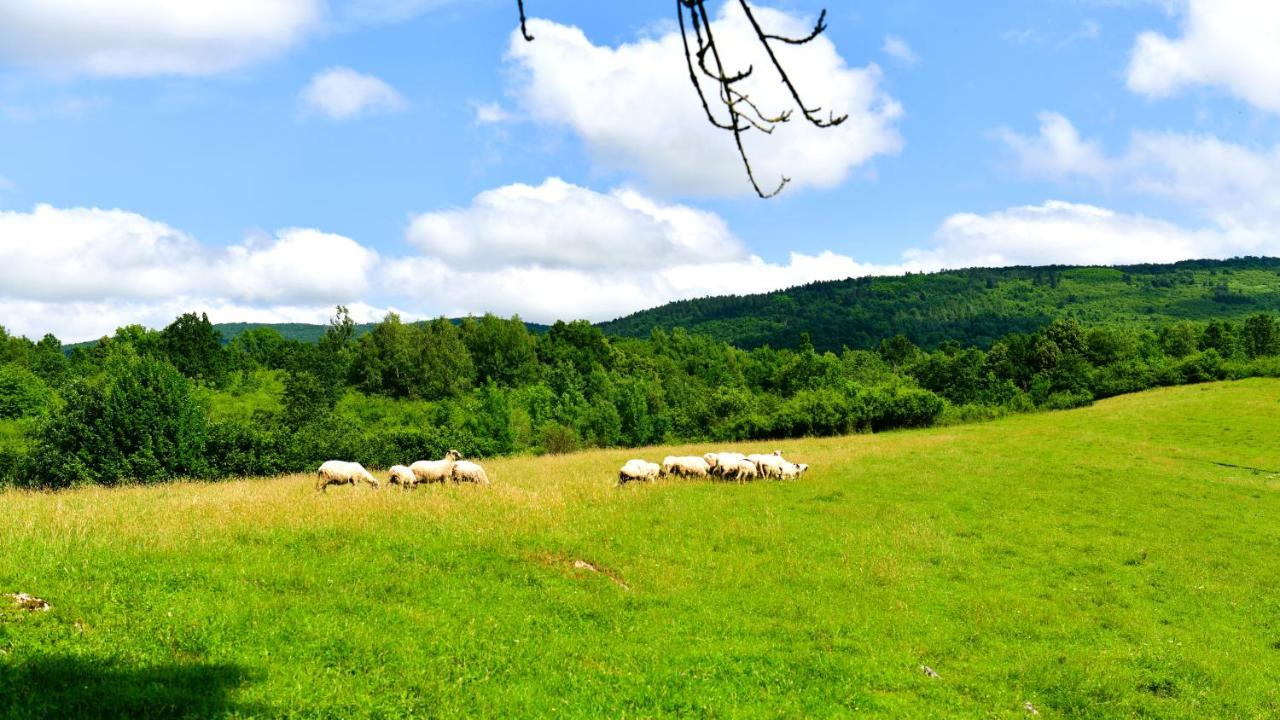 Villa Natura hause Rakovica Exterior foto