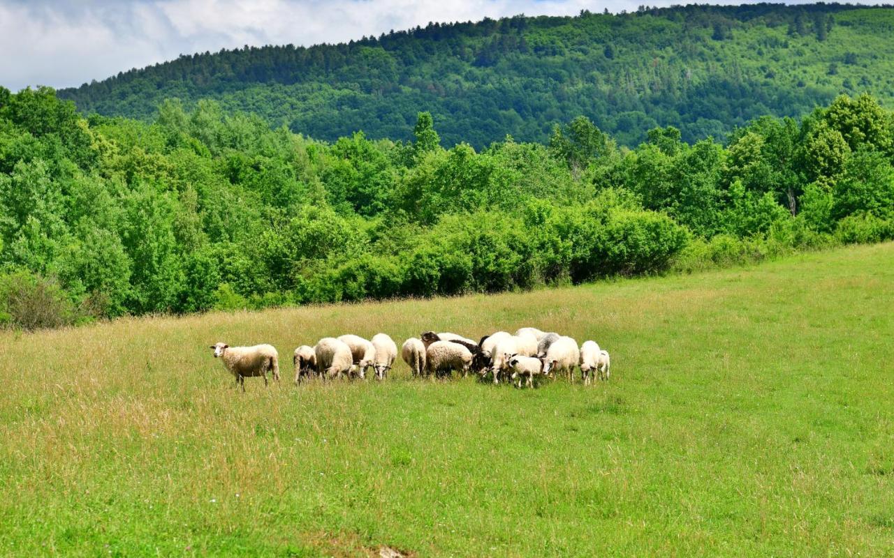 Natura hause Rakovica Exterior foto