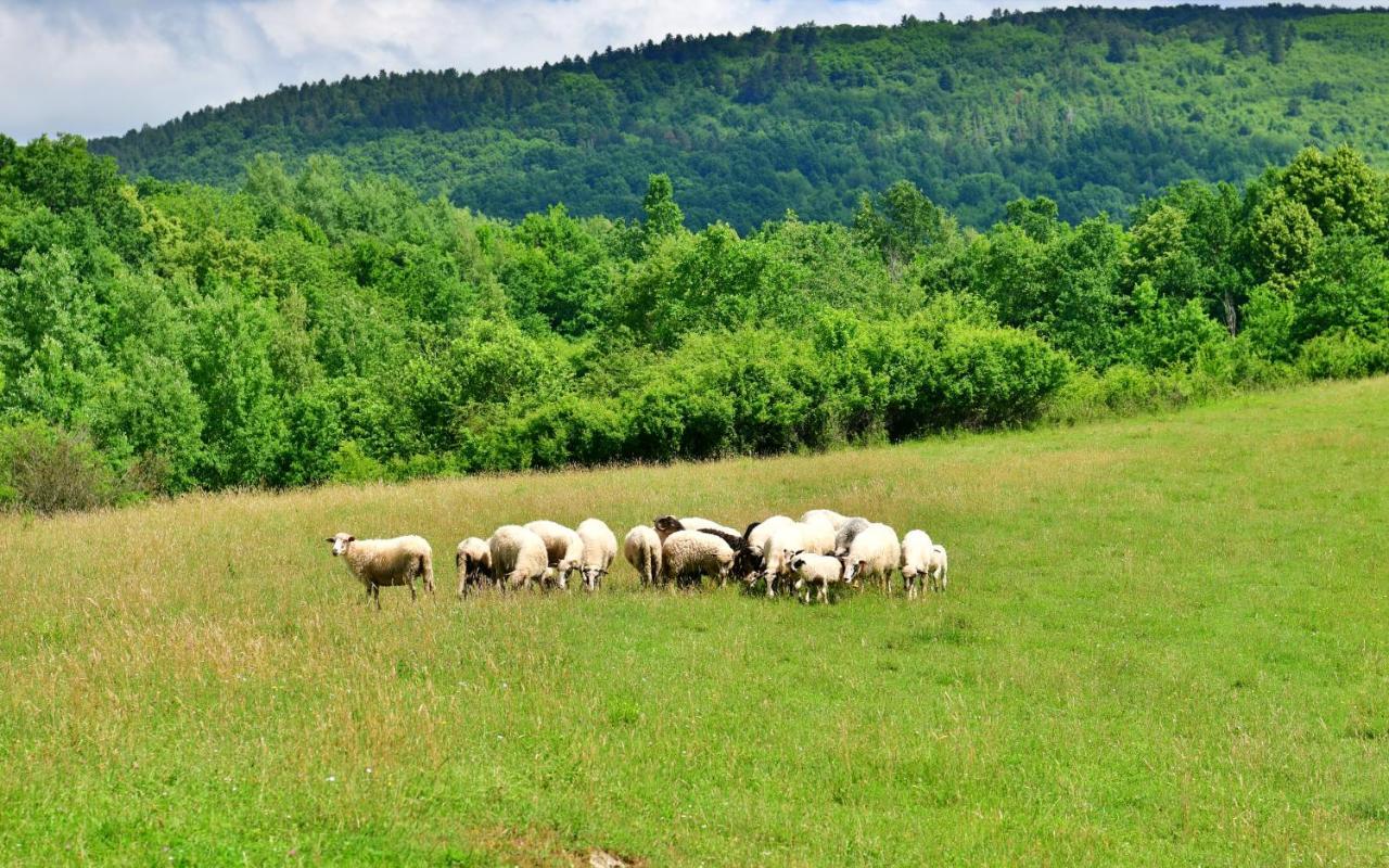 Villa Natura hause Rakovica Exterior foto