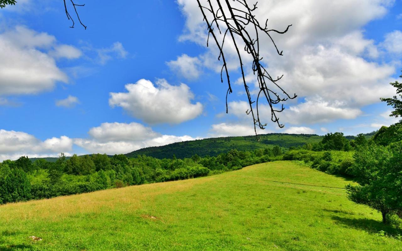 Villa Natura hause Rakovica Exterior foto