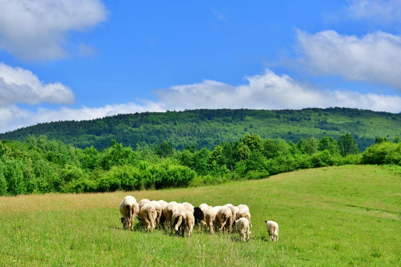 Villa Natura hause Rakovica Exterior foto